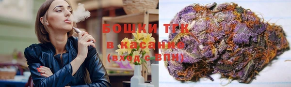 ГАЛЛЮЦИНОГЕННЫЕ ГРИБЫ Инта