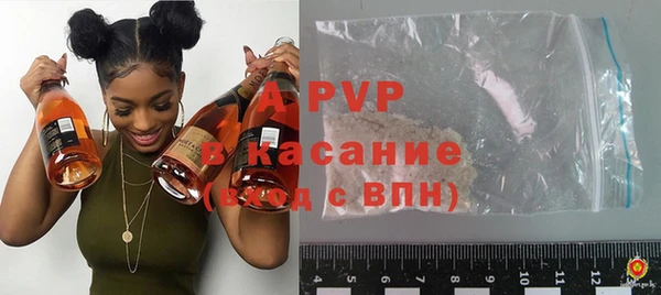 ГАЛЛЮЦИНОГЕННЫЕ ГРИБЫ Инта