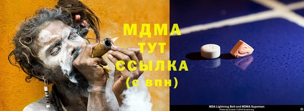 ГАЛЛЮЦИНОГЕННЫЕ ГРИБЫ Инта