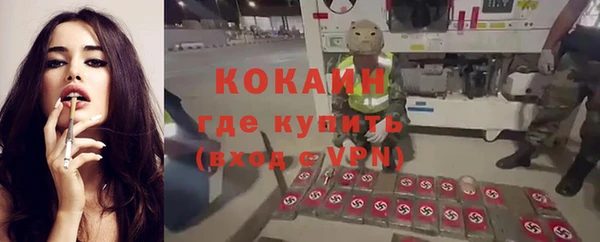 ГАЛЛЮЦИНОГЕННЫЕ ГРИБЫ Инта