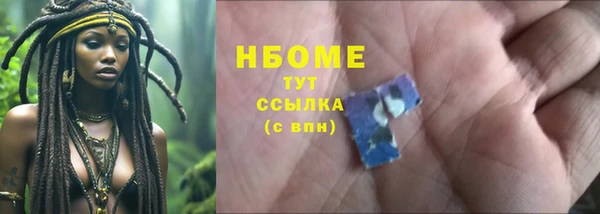 ГАЛЛЮЦИНОГЕННЫЕ ГРИБЫ Инта