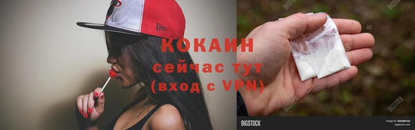 ГАЛЛЮЦИНОГЕННЫЕ ГРИБЫ Инта