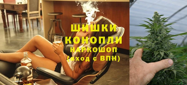 ГАЛЛЮЦИНОГЕННЫЕ ГРИБЫ Инта