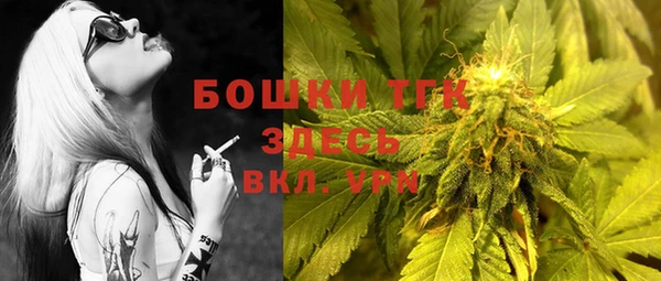 ГАЛЛЮЦИНОГЕННЫЕ ГРИБЫ Инта