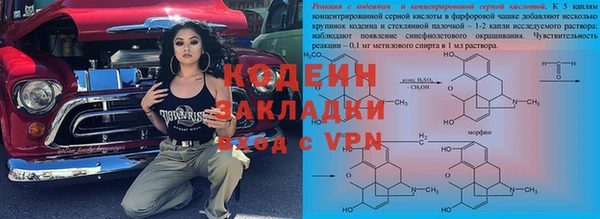 ГАЛЛЮЦИНОГЕННЫЕ ГРИБЫ Инта