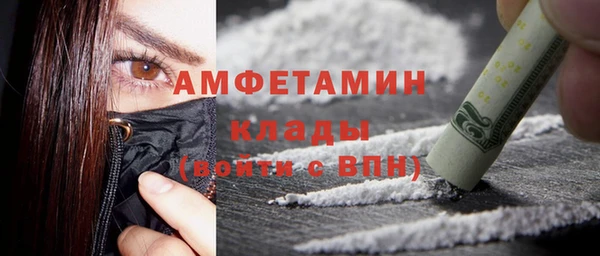 ГАЛЛЮЦИНОГЕННЫЕ ГРИБЫ Инта